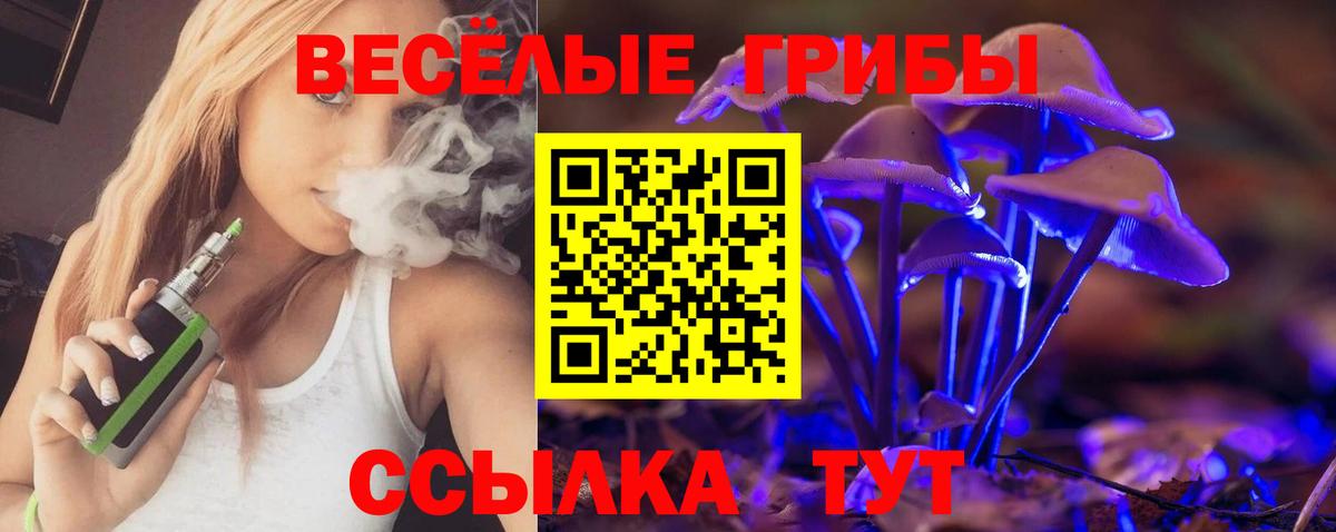 Щёлково  Галлюциногенные грибы Magic Shrooms  Вход с VPN  Псилоцибиновые грибы ЛСД 
